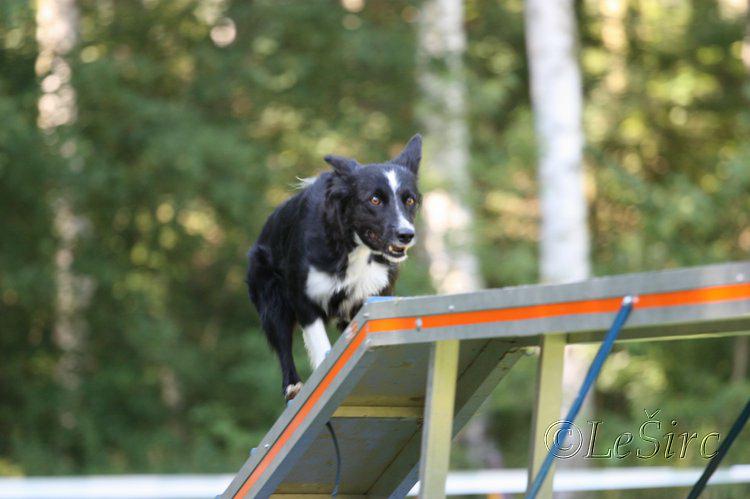 Miacis_cup_9.7.2011_060