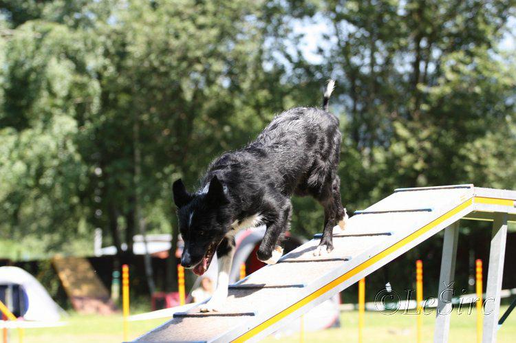 Miacis_cup_9.7.2011_193