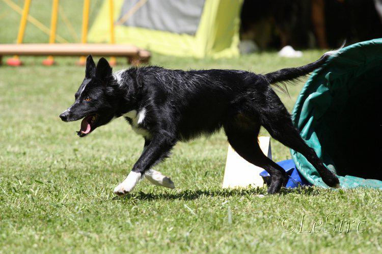 Miacis_cup_9.7.2011_317