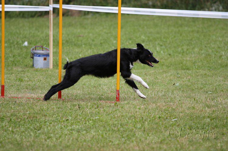 Miacis_cup_10.7.2011_137